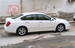 رينو سافران